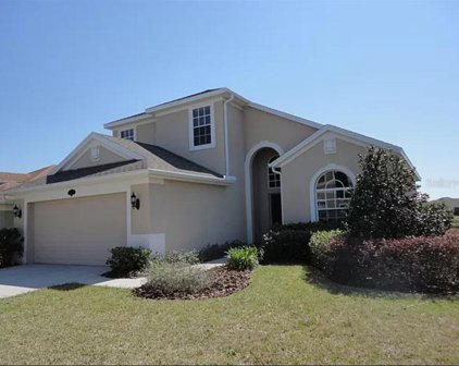10913 Observatory Way, Tampa