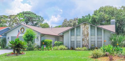 10302 Lafoy Road, Spring Hill