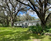 21751 Ne 15th St 32696, Williston image