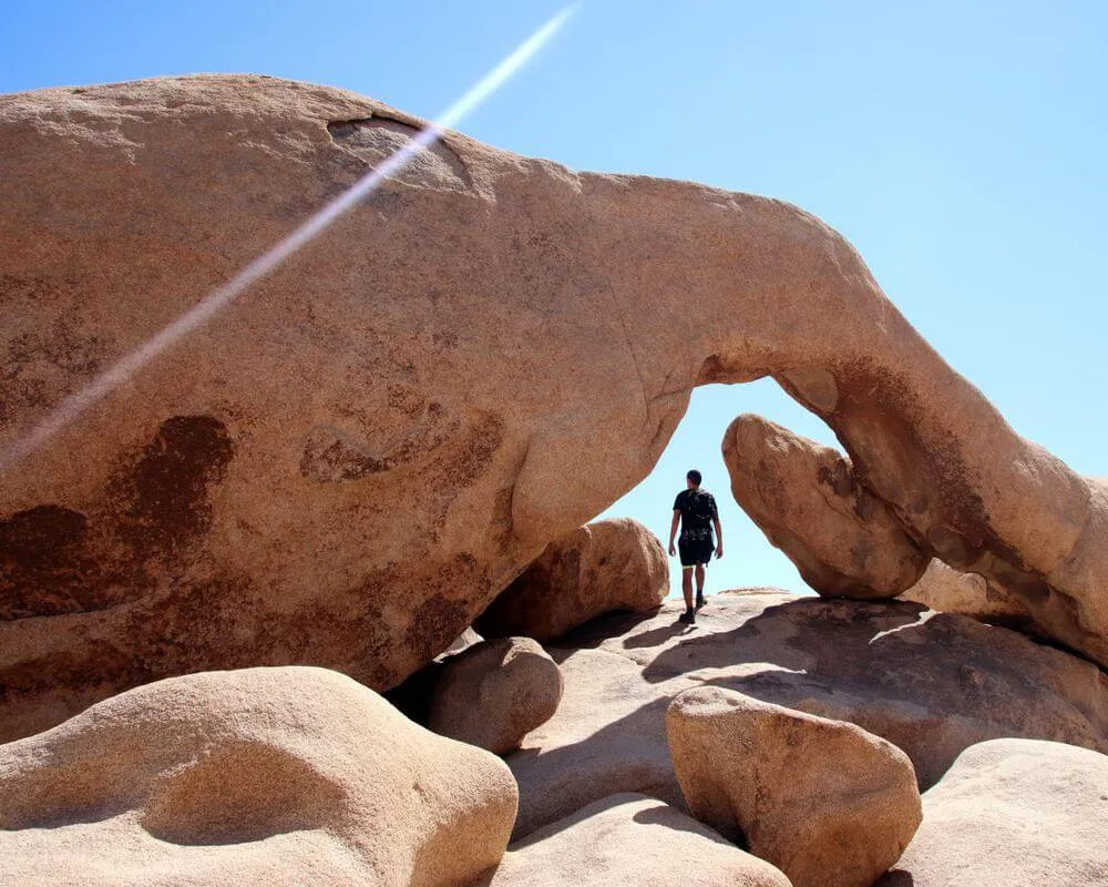 Joshua Tree Real Estate