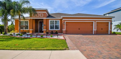 11791 Lake Lucaya Drive, Riverview