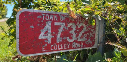 4732 E Colley (2 Ac) Road, Turtle