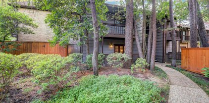 11711 Memorial Drive Unit 189, Houston