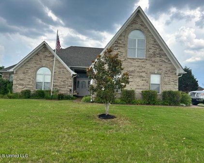 4238 Amherst Cove, Olive Branch