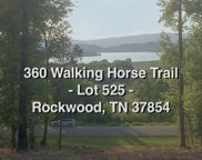 360 Walking Horse Tr, Rockwood image
