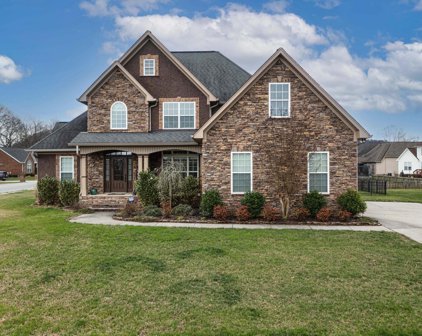 7990 Trout Lily Drive, Ooltewah