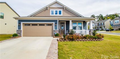 10206 Bluejack Oak  Court, Huntersville