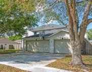 1825 Western Hills Lane, Mascotte image
