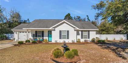 1271 Old Doctortown Road, Jesup