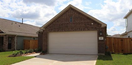 323 Flowering Orchid Lane, Willis