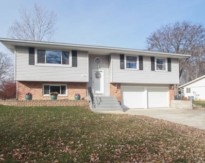 702 Dartmouth Lane, Schaumburg