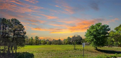 11735 Knights Griffin Road, Thonotosassa