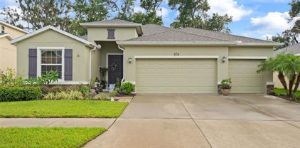 10409 Pleasant Spring Way, Riverview