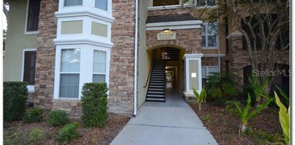 10106 Courtney Oaks Circle Unit 201, Tampa