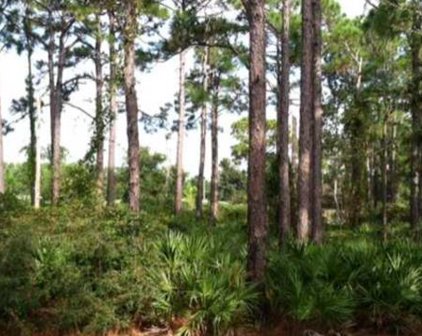264 Royal Tern Way, Carrabelle