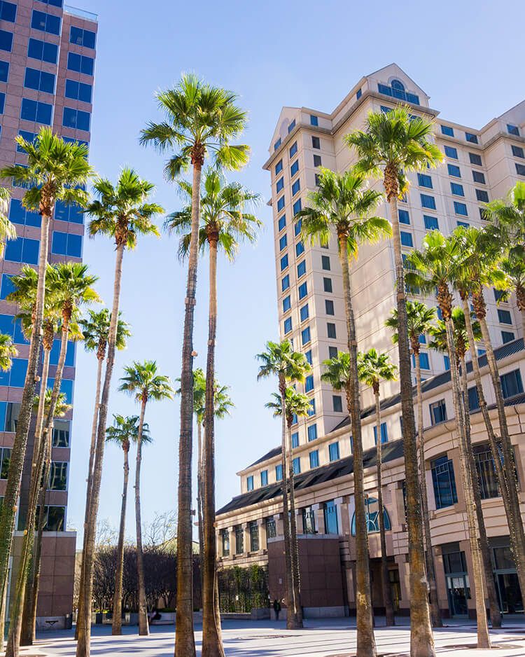 San Jose Real Estate