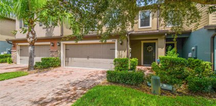 17286 Old Tobacco Road, Lutz