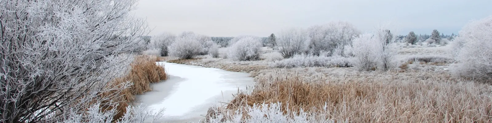 Sunriver Oregon Environment