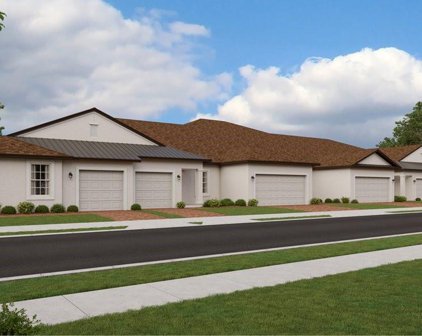 16934 Forge Surf Street, Land O' Lakes