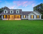 13522 Fm 2432 Road, Willis image