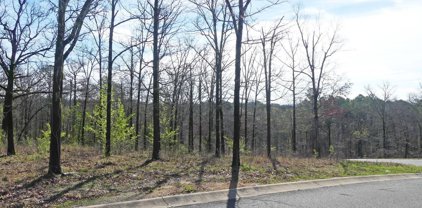 Lot 16 Rose Creek, Hot Springs