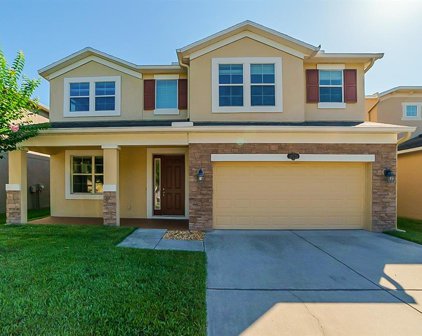 10720 Pictorial Park Drive, Tampa