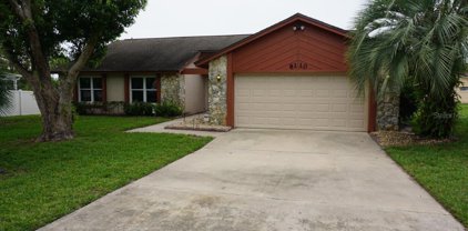 8110 Hook Circle, Orlando