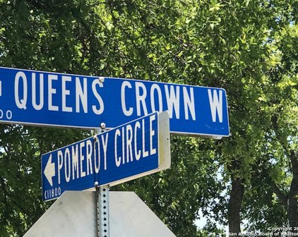 W Queens Crown, Live Oak