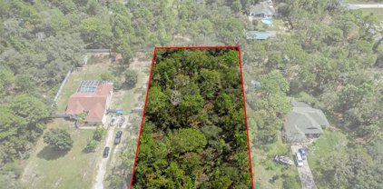 Nimick Road, Brooksville