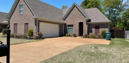 2564 Woodcutter Drive, Southaven