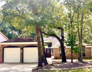 40 Country Forest Court, The Woodlands image