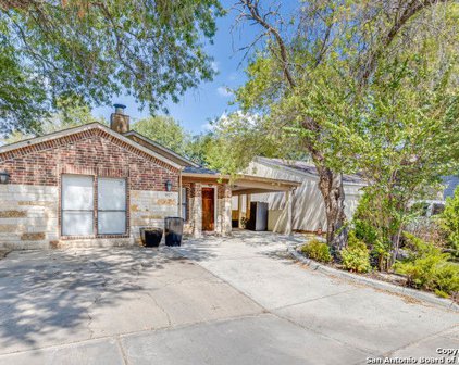 9927 Sandy Field, San Antonio