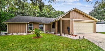 15902 Country Farm Place, Tampa