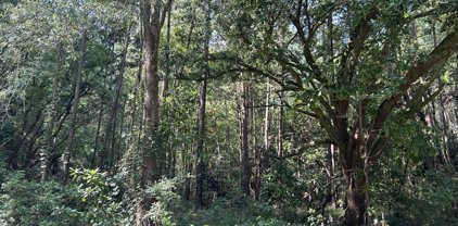 00 Old Parsonage Road, Summerville