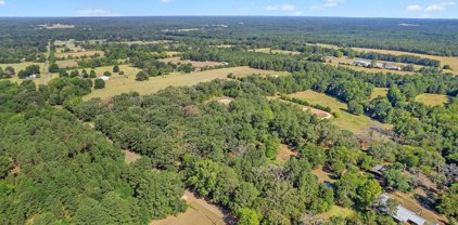 LOT 1 BLOCK 2 COUNTY ROAD 2138 (OLD TYLER HWY), Troup