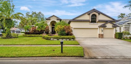 1102 Oak Brush Place, Valrico
