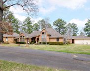 605 Holly Moore  Drive, Pineville image