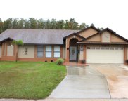 204 Red Maple Dr, Kissimmee image