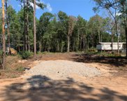 8345 Soapberry Ln Lane, Plantersville image