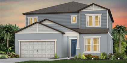 14153 Hammock Crest Way, Riverview