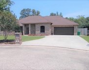 111 Cliffbrook Lane, Cleveland image