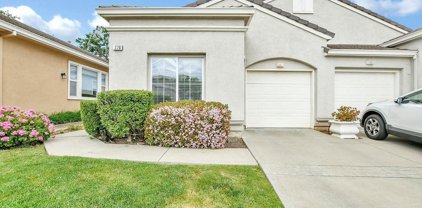 278 Black Amber Way, Brentwood
