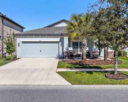 6513 Dutton Drive, Wesley Chapel