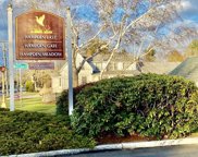 117 Nassau Dr Unit 117, Springfield image