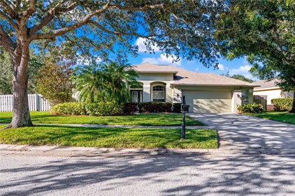 10103 Kingsbridge Avenue, Tampa