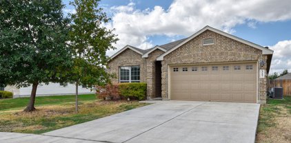 317 Creekview Way, New Braunfels