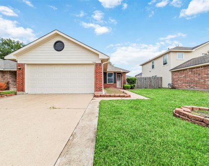 7310 Village Lake Drive, Cypress