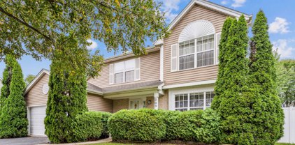 209 Ironbark Way, Bolingbrook