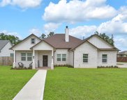 40402 Mostyn Drive, Magnolia image