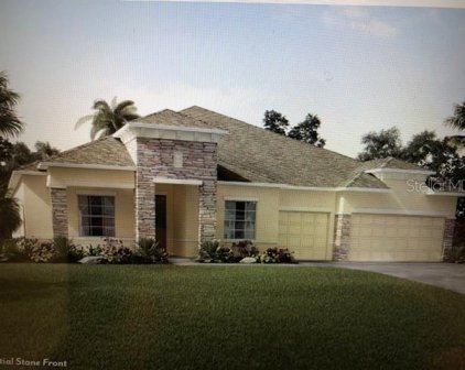 11639 Spoonbill Run Drive, Thonotosassa